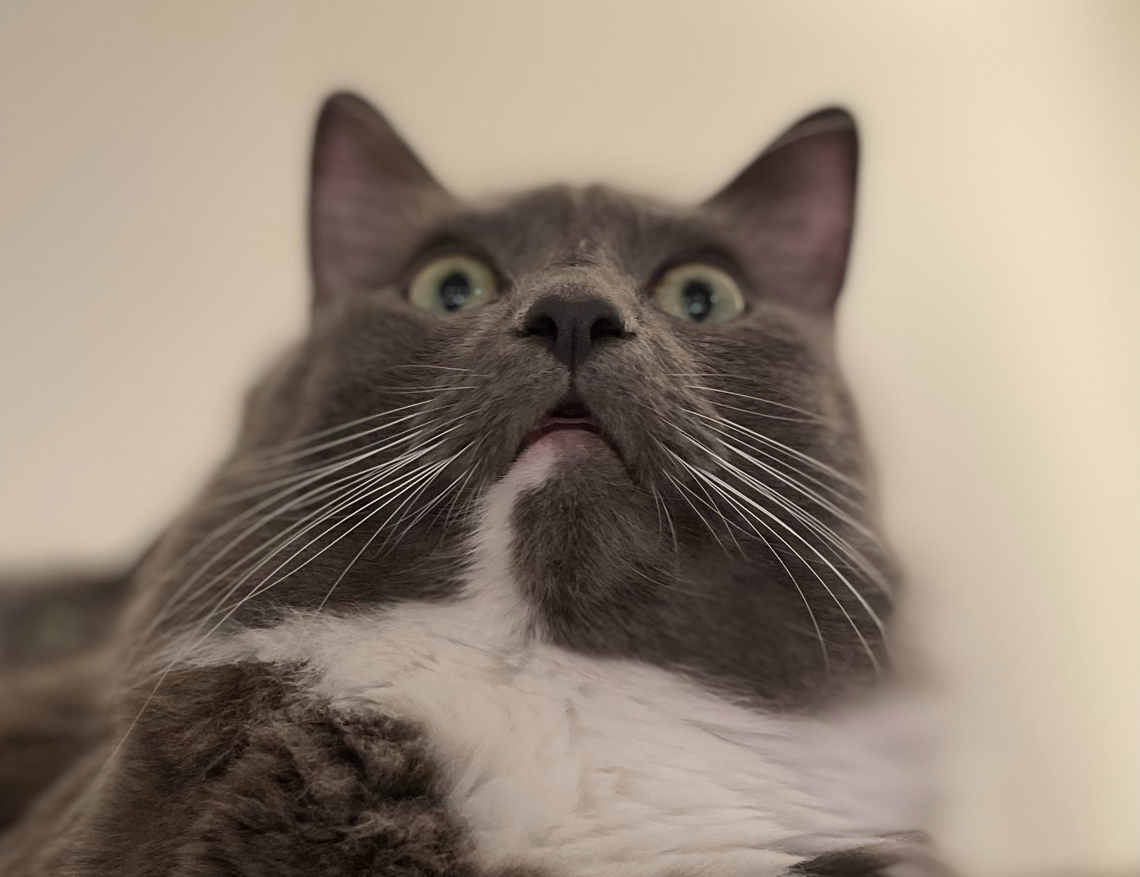 ままごんブログ